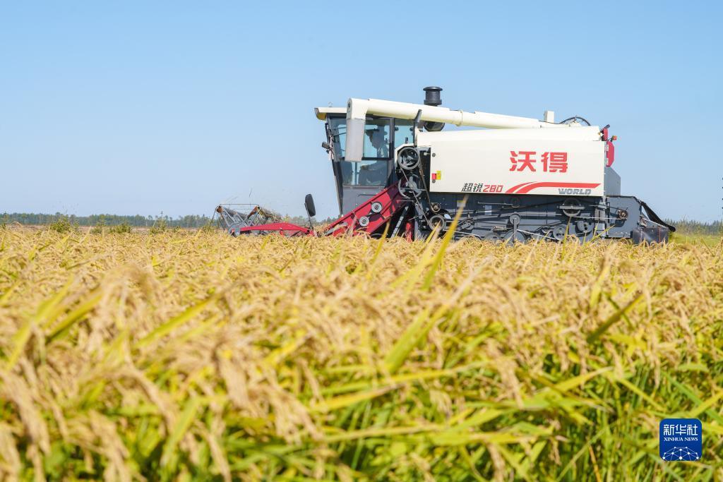 万豪电玩城官方网站